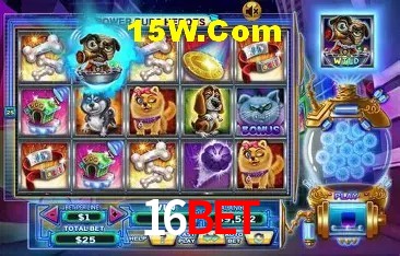 16Bet Salvador - Promo Stats